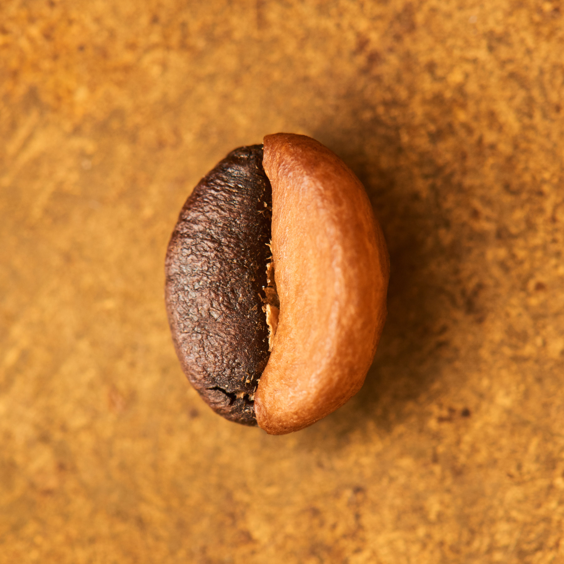Photo of Espresso Primitivo